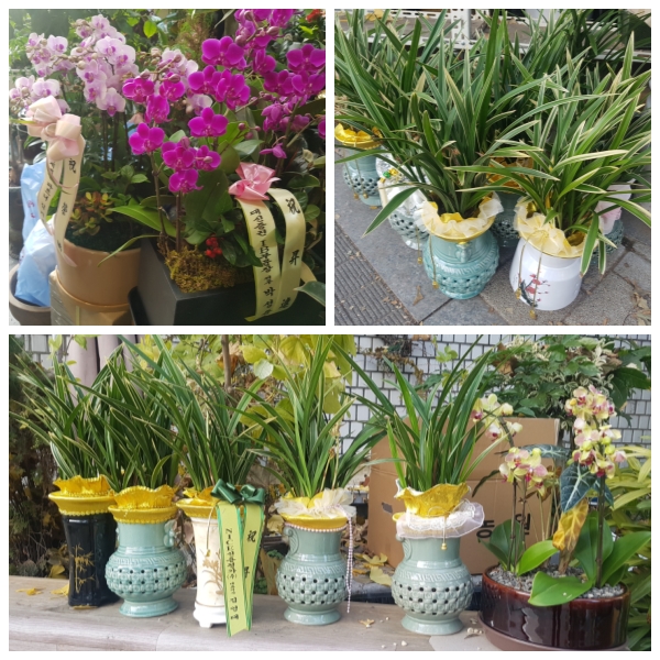 �����̹�������:layout 2019-12-11.jpg